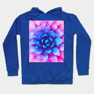 Agave Sunset Hoodie